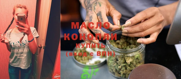 молекула духа Арсеньев