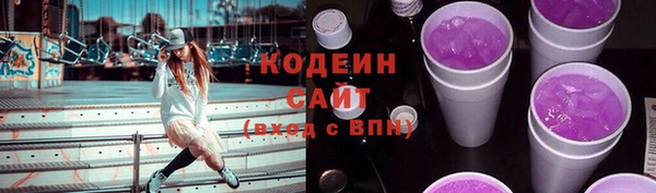 молекула духа Арсеньев