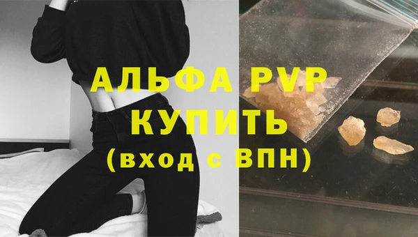 молекула духа Арсеньев