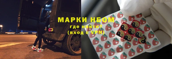 молекула духа Арсеньев