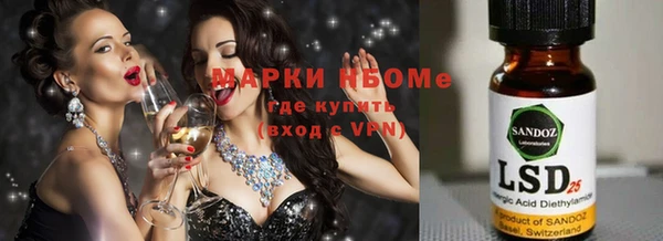молекула духа Арсеньев