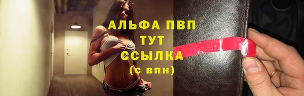 молекула духа Арсеньев