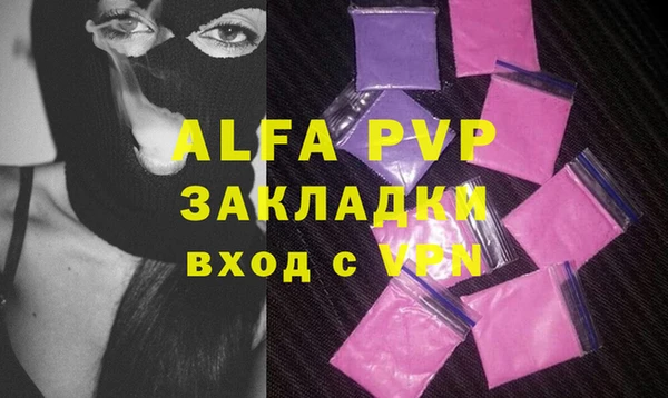 молекула духа Арсеньев