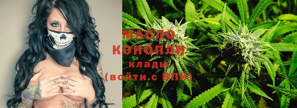 молекула духа Арсеньев