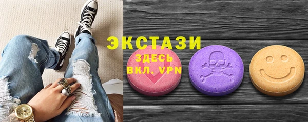 молекула духа Арсеньев