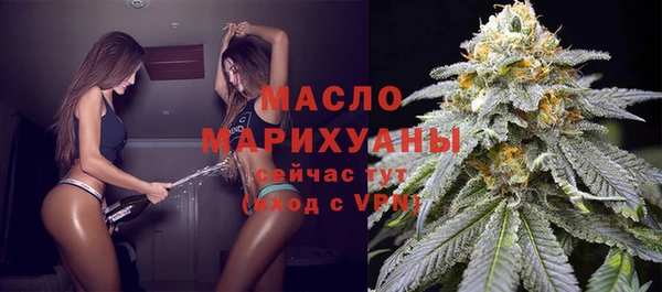 молекула духа Арсеньев